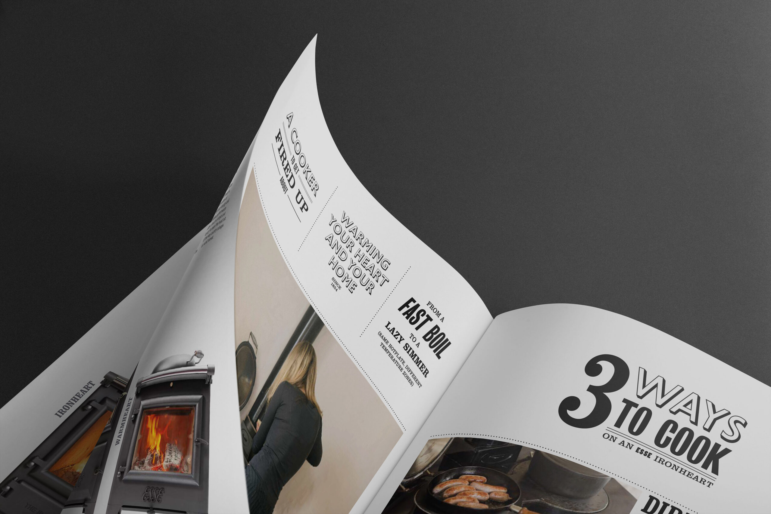 Typographic headlines delivering selling points about the products